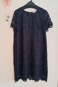 極美品 洗える 総レースワンピース ローズティアラ 大きいサイズ 46