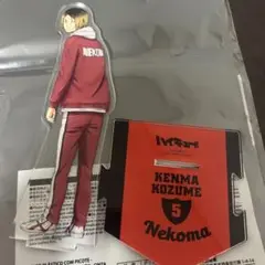 ハイキュー 研磨