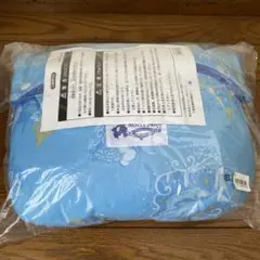 12月終了　ディズニーバケーションパッケージ　非売品　ブランケット