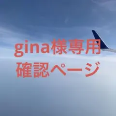 gina様専用確認ページ