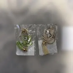 私立恵比寿中学　アクリルキーホルダー