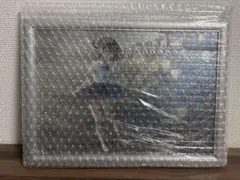 カントク くるみver リフレクションアート イマジン20t 軸中心派有償