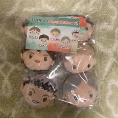 ハイキュー　ぬいぐるみクリップ コンプリートセット　◎