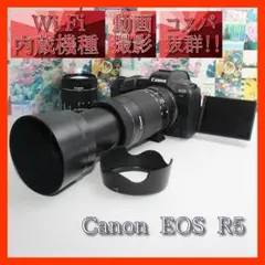❤️予備電池付き❤️Canon EOS R5 STMダブルズームセット❤️ - メルカリ