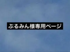 ぷるみん様専用ページ