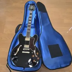 2026年最新】EPIPHONE sheratonの人気アイテム - メルカリ