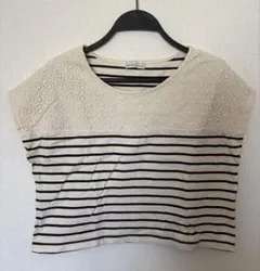 美品　ストライプ柄 クロップドTシャツ