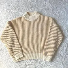 INGNI イング　ハイネック リブニット セーターショート丈