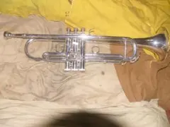 2025年最新】トランペット本体の人気アイテム - メルカリ