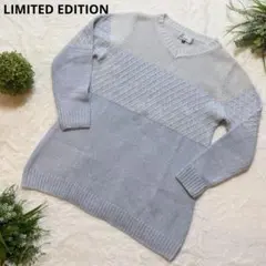 リミテッドエディション　ライトブルー　 Vネック 長袖　セーター サイズ38