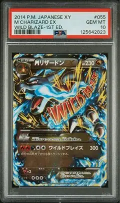 ワイルドブレイズ
