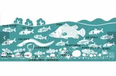手ぬぐい　高知の美味しい川魚　鮎　ウナギ　鰻　手長エビ