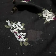 AJE 夏物 撫松庵 セオα 千鳥と花 化繊 小紋 薄物 絽 紗 着物のサムネイル