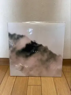 2025年最新】d.a.n レコードの人気アイテム - メルカリ