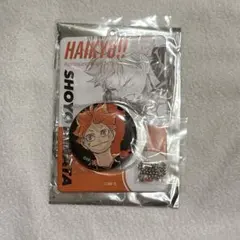 ハイキュー!! 缶バッジ＆特製ホルダー 日向翔陽