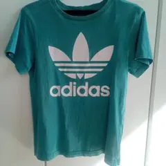 adidas ターコイズ ロゴ Tシャツ