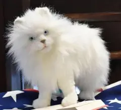 新品mm☆HANSA シロネコ 35 CAT（ネコ、ねこ、キャット、ぬいぐるみ