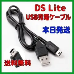 新品DSライト 充電器 USB ケーブル DSL DS Lite NDS