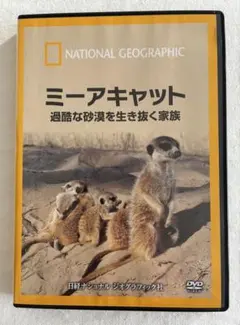 ミーアキャット 過酷な砂漠を生き抜く家族 DVD 動物　自然　ネイチャー