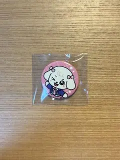 2025 IVE×MINIVE POPUP 缶バッチ GANGANJIのサムネイル