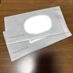 Item thumbnail for item 427a018c-34b4-4361-9408-fae5170ee429