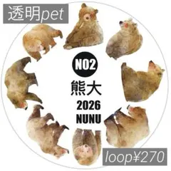 【ddN02】DingDing / 熊大 透明pet 1ループ100cm¥270