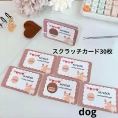 スクラッチカード　30枚　スクラッチ貯金　saving バインダー貯金　dog