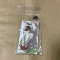 アナクトガーデン　イヴァン　ティル　アクスタ