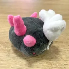 2025年最新】ナマコブシの人気アイテム - メルカリ