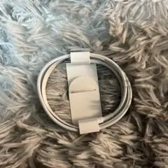 Apple純正　Cタイプ　充電ケーブル