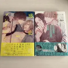 感応性プレイシングス