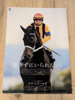 JRA ヒーロー列伝 クリアファイル No.49 ステイゴールド