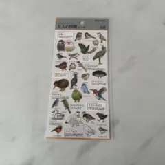 【まとめ買い割引有り】　大人の図鑑シール　鳥編
