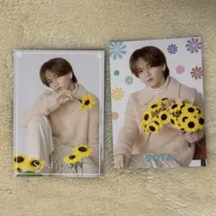 FANTASTICS 中島颯太 SUNFLOWER フォトカ
