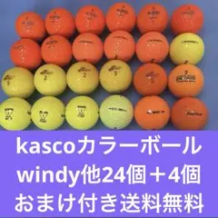 kasco カラーボール24個＋4個おまけ付きのサムネイル
