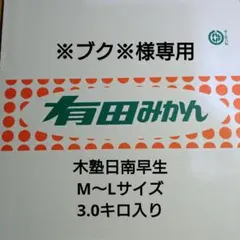 ※ブク※様専用 木塾日南早生 M〜L 3.0キロ入り 18-1