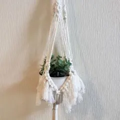 マクラメ　プラントハンガー　観葉植物のサムネイル