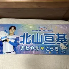 ファイターズ 応援グッズ