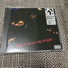 【レアCD】Rough House Survivers 幻のアルバム！