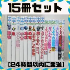 小学校館の図鑑Neo 他15冊セット まとめ売り【24時間以内に発送】 小学館の図鑑Neo 他15冊セット まとめ売り【24時間以内に発送】 - メルカリ