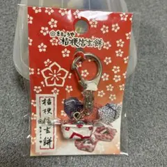 桔梗屋 桔梗信玄餅キーホルダーのサムネイル
