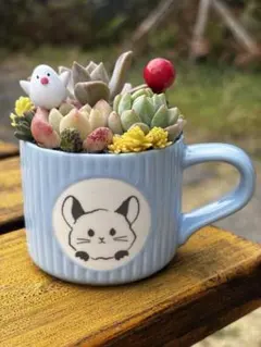 ＊多肉植物＊マグカップ＊シマエナガ♡かわいい寄せ植え＊そのまま飾れる＊