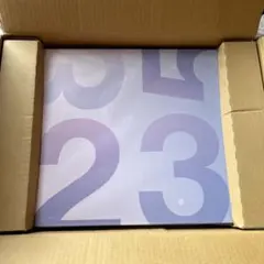 新品未開封 カナリヤ NEWS オンライン限定 通常盤 CD