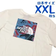 【海外限定】ノースフェイス　半袖Tシャツ　日本3L相当　J1062
