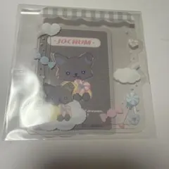 JOCHUM シークレット硬質カードケース ピーハイ