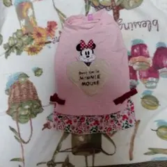 ペットパラダイス ミッキーマウス