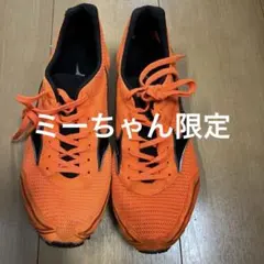 ミズノ　WAVE CRUISE Ⅱ 日本サイズ24.０㎝