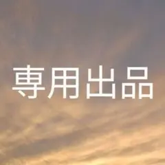 Tさま専用出品①