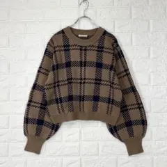 ☆【terawear emu】M 茶系　チェック　長袖ニット　ショート丈　秋冬