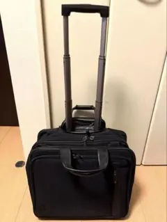 Item thumbnail for item 0bf2cc26-ad14-4423-b882-274574322f81